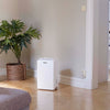 Wood’s MRD14G Dehumidifer in home