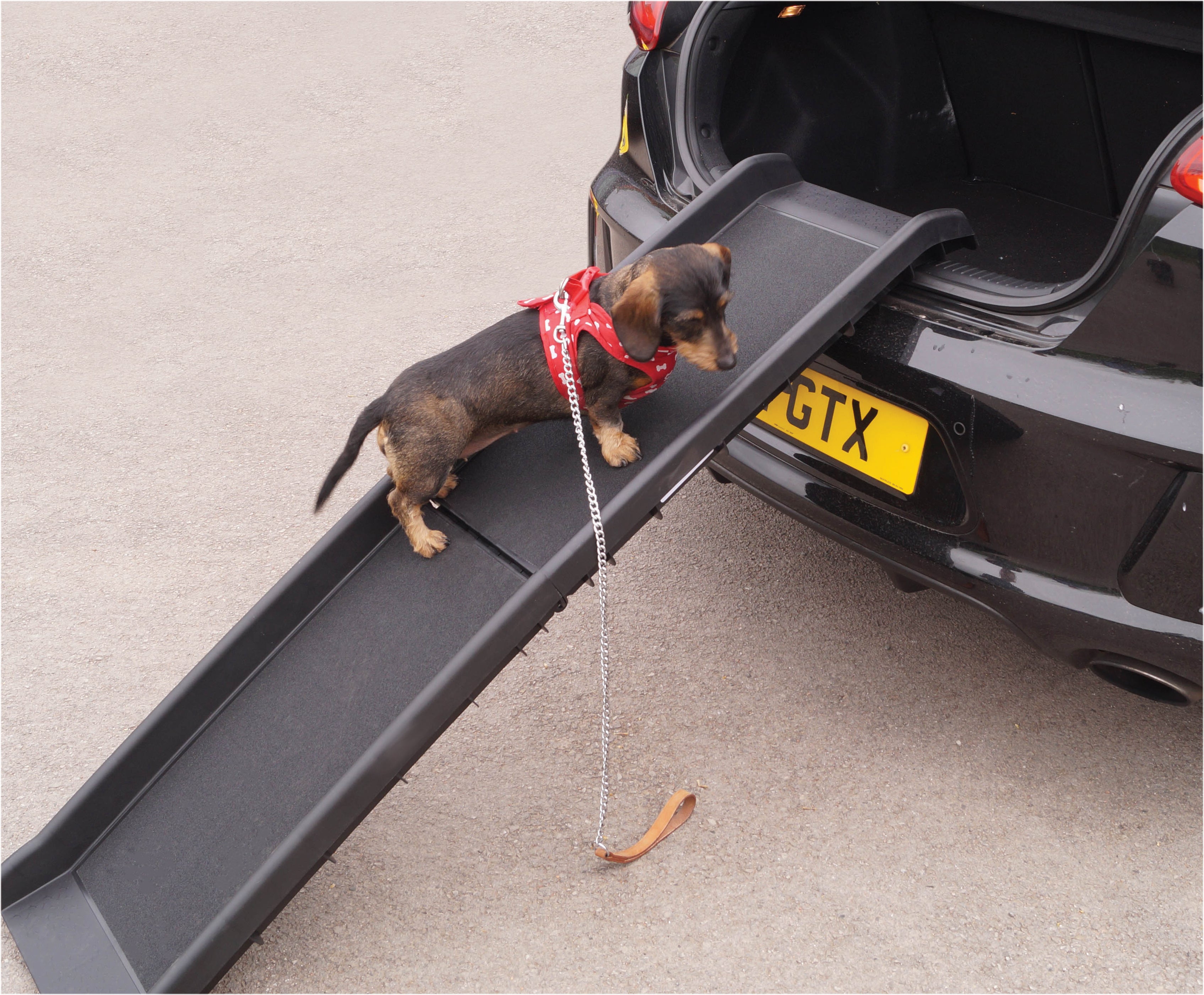 Dog ramp sales for car boot