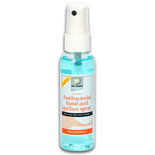 Instant Antibacterial Hand and Surface Spray Sanitiser - 60ml – Ability ...